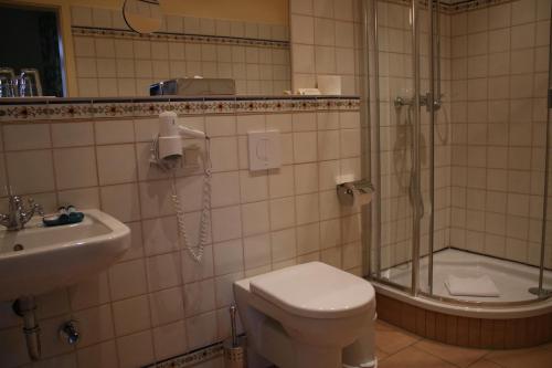 a bathroom with a shower and a toilet and a sink at Hotel Schloss & Gut Ulrichshusen in Ulrichshusen