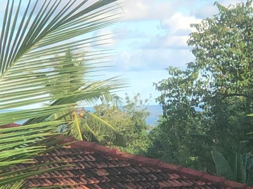 a leafy palm tree next to a roof of a house at skyresort in Tangalle