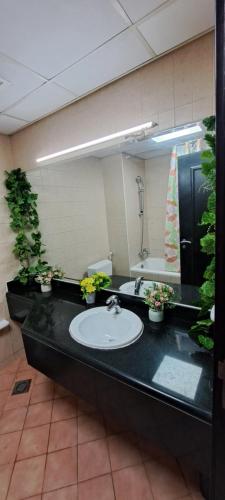 a bathroom with a sink and a mirror at DRUVYA HOLIDAY HOMES, Bld DG083, Street No,3 Discovery Gardens, Close to The Gardens Metro 6 minutes walkable in Dubai