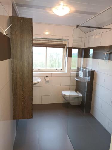 a bathroom with a toilet and a sink and a window at de Paardekracht in Serooskerke