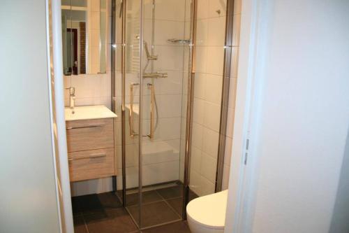 a bathroom with a shower and a toilet and a sink at Schorrebloem 9* in Nieuwvliet