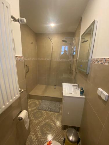 a bathroom with a shower and a sink at Felsenmühle Neuleiningen in Neuleiningen