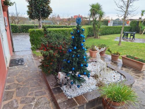 a christmas tree in a garden with blue bulbs at leupupe relax cultura mare monti in Cascina
