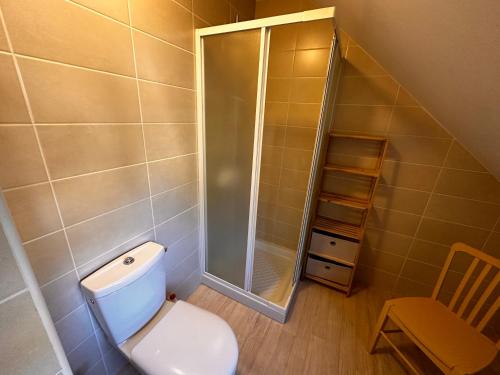 a bathroom with a toilet and a walk in shower at La Maison aux Volets Bleus 3ème Étage in Vic-sur-Cère