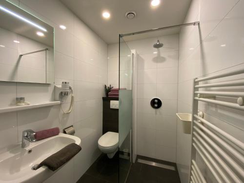 uma casa de banho branca com um lavatório e um WC em Appartementen De Zegelskoël em Heijenrath