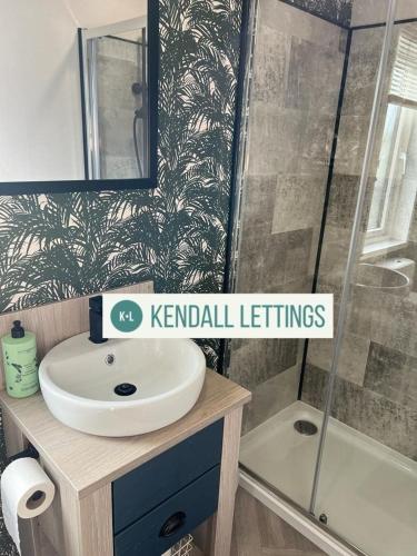 a bathroom with a sink and a shower at Sea View Lodge in Selsey