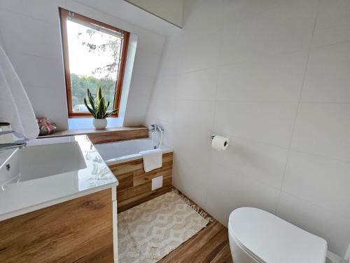 a bathroom with a sink and a toilet and a window at Kuća za odmor Šumska vila in Duga Resa