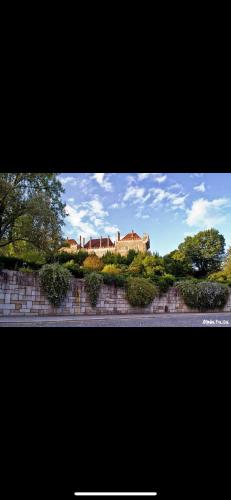 a large house on a hill with trees and bushes at FERREIRA'S HOUSE Guimarães in Guimarães