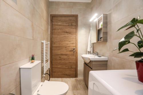 a bathroom with a toilet and a wooden door at Contessa Caterina in Karousádes