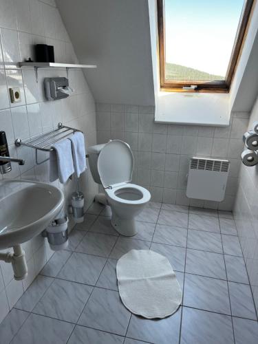 a white bathroom with a toilet and a sink at Hotel Figura in Malá Morávka
