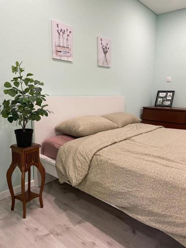 a bedroom with a bed and a potted plant at Porto Area, Poolside Sunsets of Vila Boa in Vilarinho