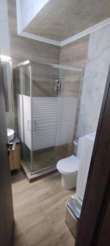 y baño con aseo y ducha acristalada. en Athens Center Cosy Apartment, en Atenas