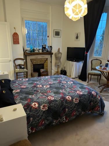 sypialnia z łóżkiem, kominkiem i telewizorem w obiekcie Monopolis w mieście Taverny