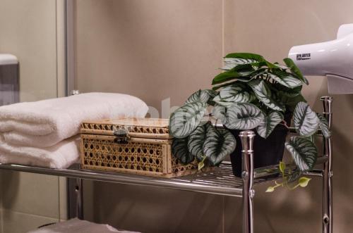 um cesto de toalhas e uma planta num suporte em Wonderful Studio In The City, Close To Sh Del Sol em Assunção