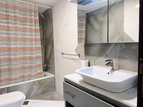 ein Bad mit einem Waschbecken, einem WC und einer Dusche in der Unterkunft Modern 3BR Apt next to Hotel Dieu in Beirut