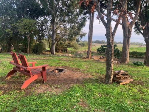 a red bench sitting in the grass next to a tree at Bed & Bread in Chorazim