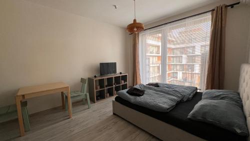 1 dormitorio con cama y ventana en Air conditioned 1 room Apartment, Slnečnice en Bratislava