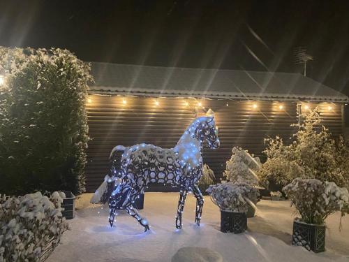 a statue of a horse is covered in lights at FAIRVIEW FARM Holiday Accommodation 14 Luxury Lodges, Cabins, Dog Friendly, Suitable for Couples, Families and Groups, Wedding Guests , Corporate events, Sleeps 2-65 guests in Ravenshead, Nottingham near Sherwood Forest, set in 88 acres in Nottingham