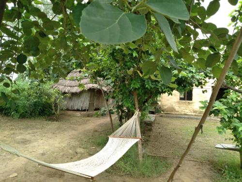 a hammock hanging from a tree in front of a house at Anokho in Nīmāj