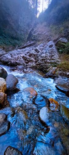 a stream of water with rocks on a mountain at JMT Eco-Binsar by StayApart in Panuānaula
