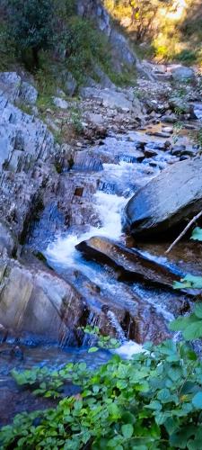 a river with rocks and plants on the side at JMT Eco-Binsar by StayApart in Panuānaula