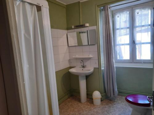 bagno con lavandino, servizi igienici e finestra di GITE DE L ASPRE a Fontanges