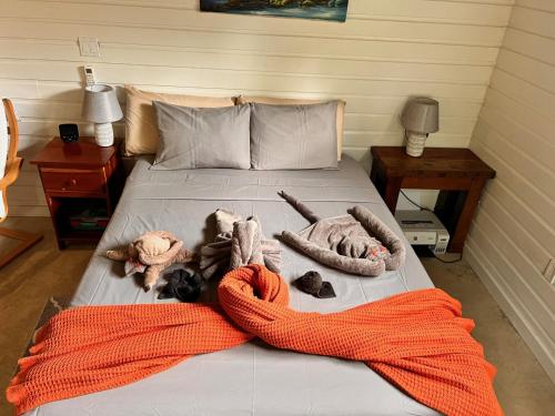 ein Bett mit einer orangenen Decke und ausgestopften Tieren darauf in der Unterkunft La Vida Belize - Studio in Riversdale