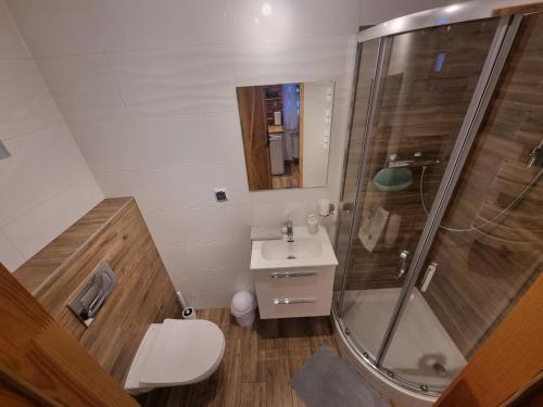 a bathroom with a shower and a toilet and a sink at Domek Antonówka in Szklarska Poręba