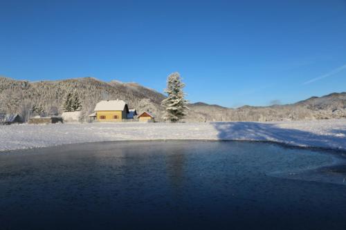 a snow covered field with a house in the background at Villa Pribila in Jasenak