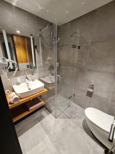 a bathroom with a shower and a sink and a toilet at ALPINA NEW apartment in the mountains in Špindlerův Mlýn