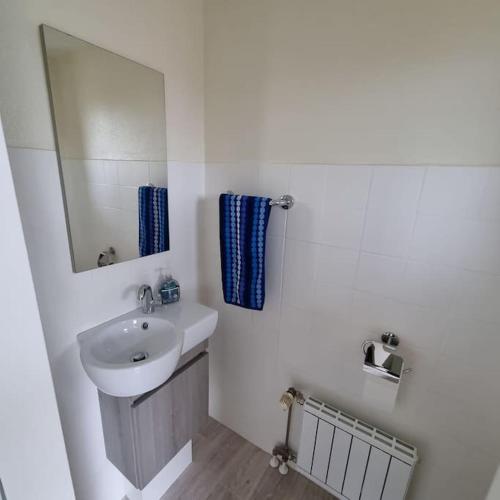 Ένα μπάνιο στο Maberg Ferienwohnung auf Scheid