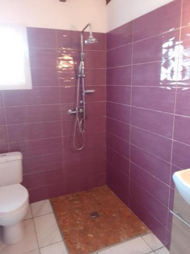 a purple bathroom with a shower and a toilet at EPINAY in Sainte-Luce