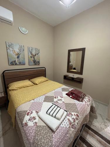 a bedroom with a bed and a mirror at Silver House in Asímion