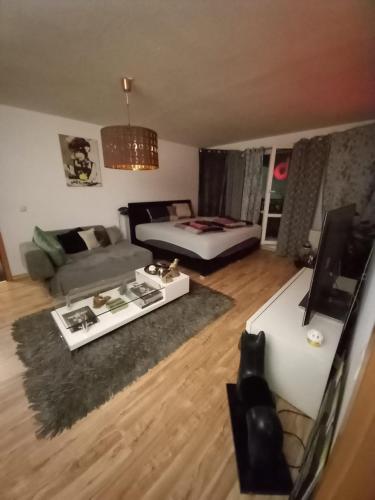 Televiisor ja/või meelelahutuskeskus majutusasutuses Tolle private 2-Zimmer Wohnung im Szene Bezirk Berlin-Friedrichshain