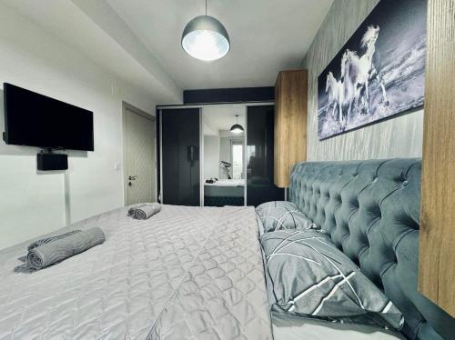 een slaapkamer met een groot bed en een televisie bij Monika's Apartment in Skopje