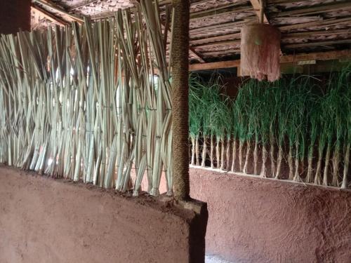 a wall with some bamboo and some green plants at Lucky Holiday Home in Anuradhapura