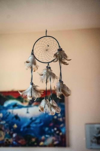 a bunch of birds hanging from a cage at B&B Colle Vignoni in Barberino di Mugello