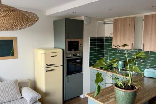 Il comprend une cuisine équipée d'un réfrigérateur et d'une table avec des plantes. dans l'établissement Le tropical - T2 42m2 - centre ville - parking, à Montauban