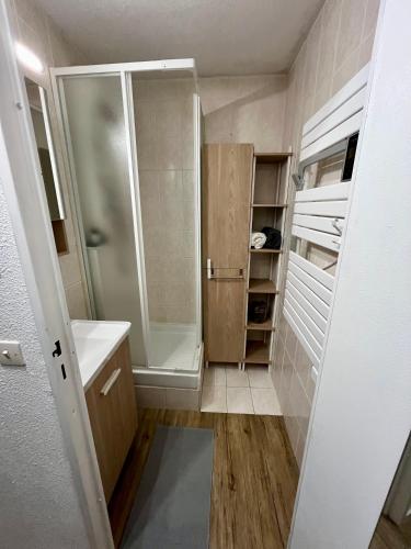La petite salle de bains est pourvue d'une douche et d'un lavabo. dans l'établissement Samoens 1600, ski au pied, à Samoëns
