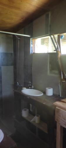 a bathroom with a sink and a mirror at Chacrita Aguaribay in Villa Argentina