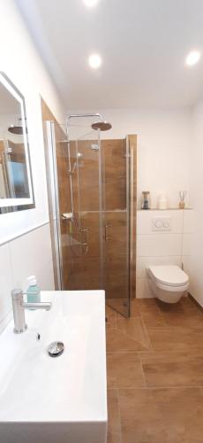 een witte badkamer met een douche en een toilet bij Ferienwohnung "Apartment Sunlife Winterberg" 4 Sterne in Winterberg