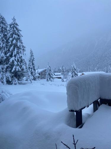 a bench covered in snow with trees and a house at Ferienwohnung im Herzen Graubündens in Surava