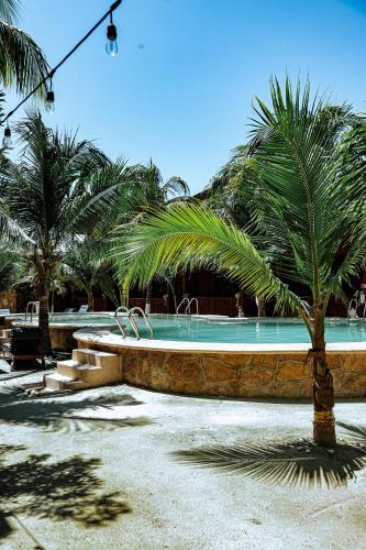 Bazén v ubytování Coconut by ÓOL Hotels nebo v jeho okolí