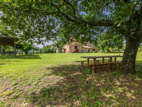 a picnic table under a tree in a field at Apartment Malva by Interhome in Sorano