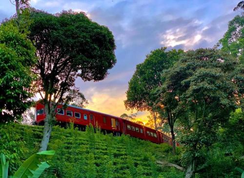 um comboio vermelho a descer uma colina com árvores em Holiday Villa em Shkodër