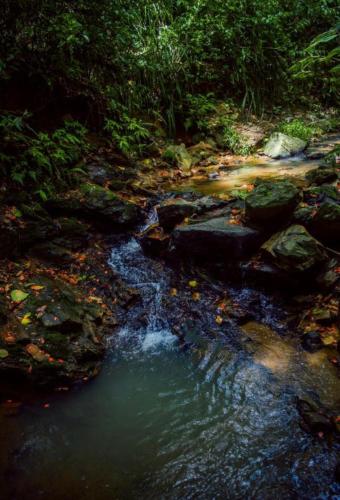 um riacho de água com pedras numa floresta em Holiday Villa em Shkodër