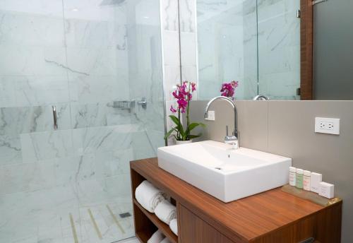 W łazience znajduje się biała umywalka i prysznic. w obiekcie Hotel San Felipe w Panamie