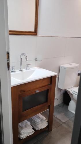 a bathroom with a sink and a toilet at LOS ABEDULES in El Bolsón
