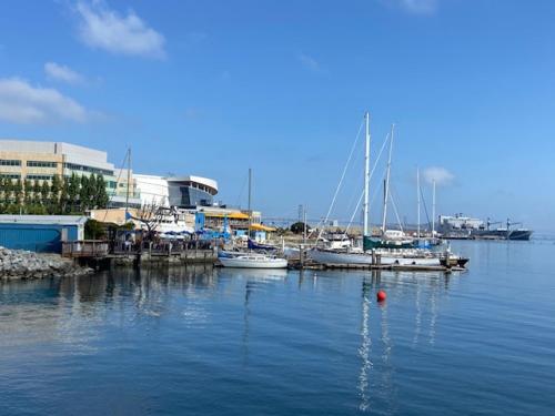 Un grupo de barcos atracados en un muelle en el agua. en Modern studio near UCSF/Chase/Oracle Park, en San Francisco