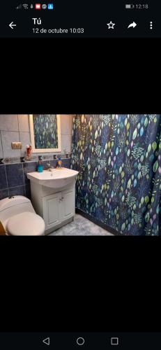 a bathroom with a sink and a toilet and a shower curtain at Arriendo casa por dias en olmue in Olmué